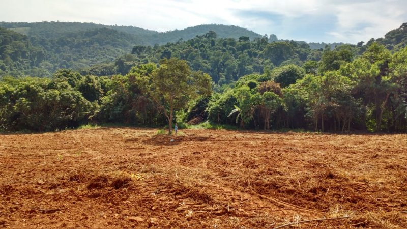 Stio - Venda - Bairro do Morro - Araoiaba da Serra - SP