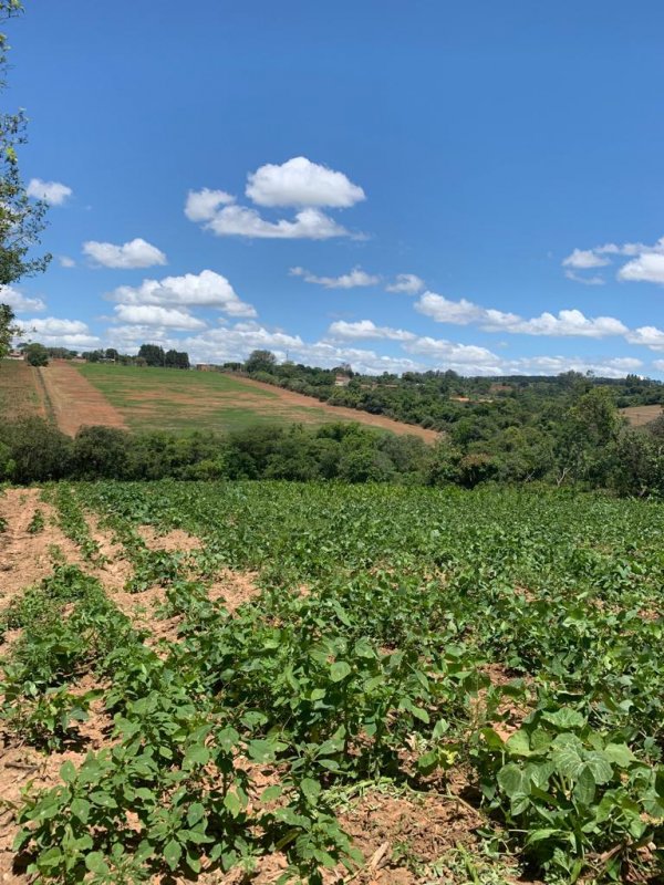 Stio - Venda - So Cristvo - Araoiaba da Serra - SP