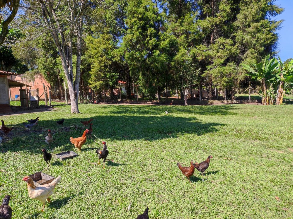 Chácara - Venda - Campo do Meio - Araçoiaba da Serra - SP