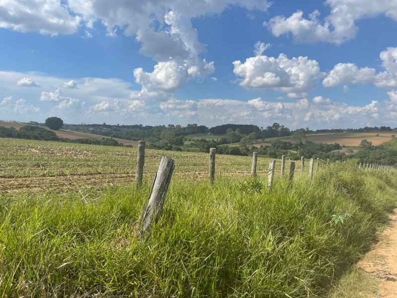 Terreno - Venda - Colgio Novo - Araoiaba da Serra - SP