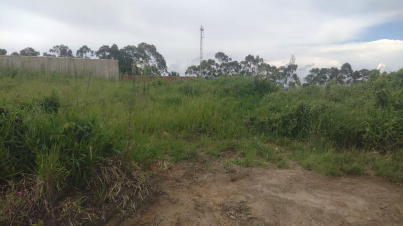 Terreno - Venda - Colnia - Araoiaba da Serra - SP